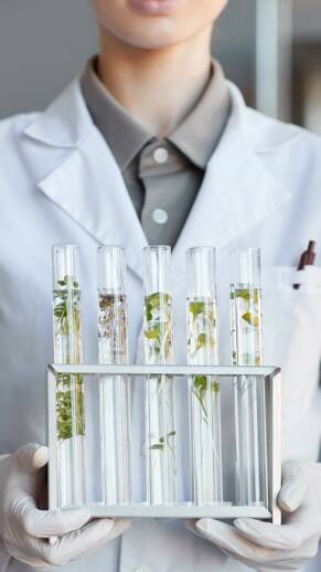 Nutraceuticals Nutricosmetics Food Supplements | Encanto Nutraceutical Research and Development
