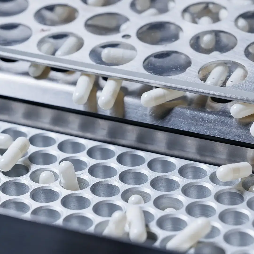 Incapsulamento di un integratore: la forma come scelta di stabilità | Encanto Nutraceutica Capsule bianche di integratore in un vassoio di incapsulamento durante il confezionamento