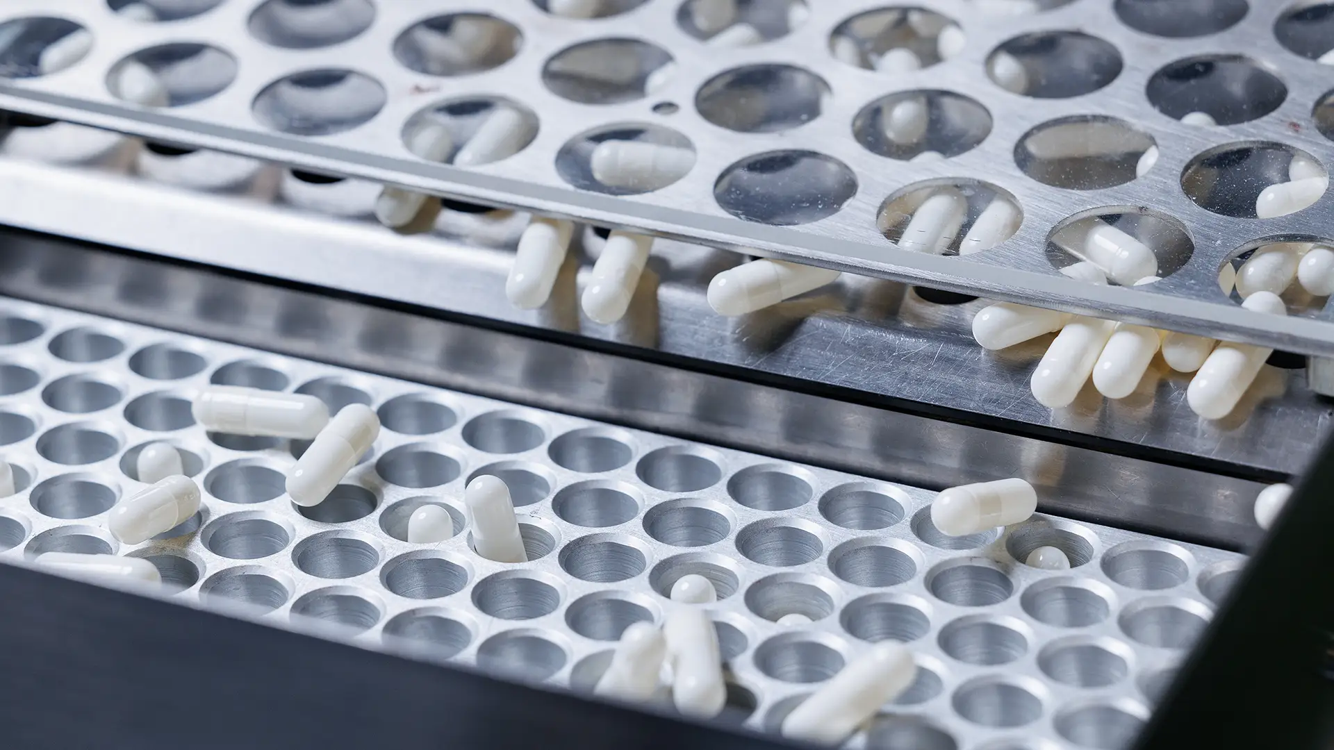 Incapsulamento di un integratore: la forma come scelta di stabilità | Encanto Nutraceutica Capsule bianche di integratore in un vassoio di incapsulamento durante il confezionamento